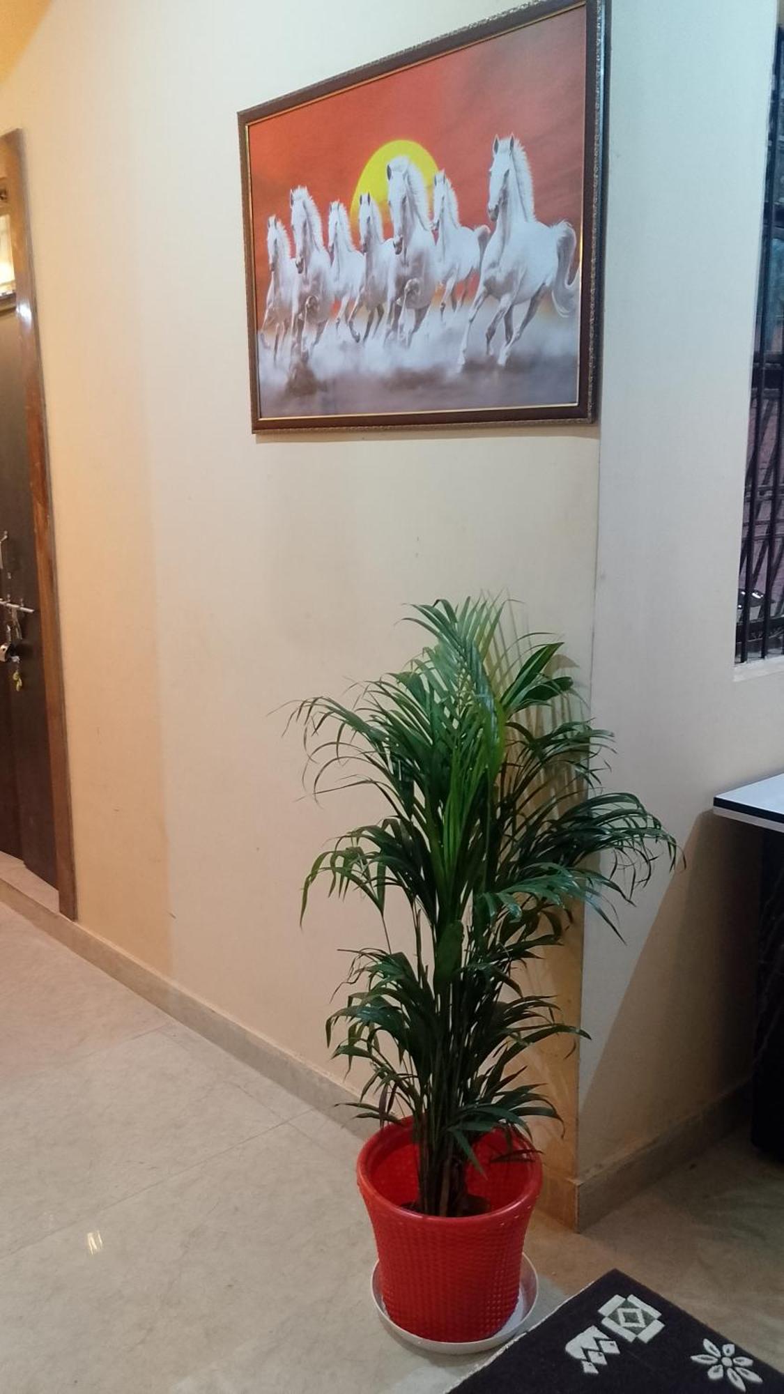 The Blessings Home Stay Агра Экстерьер фото